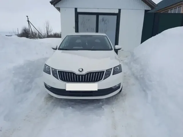 Skoda Octavia 2023 года, 1.5 AT, передний привод - частное объявление в Красноармейское