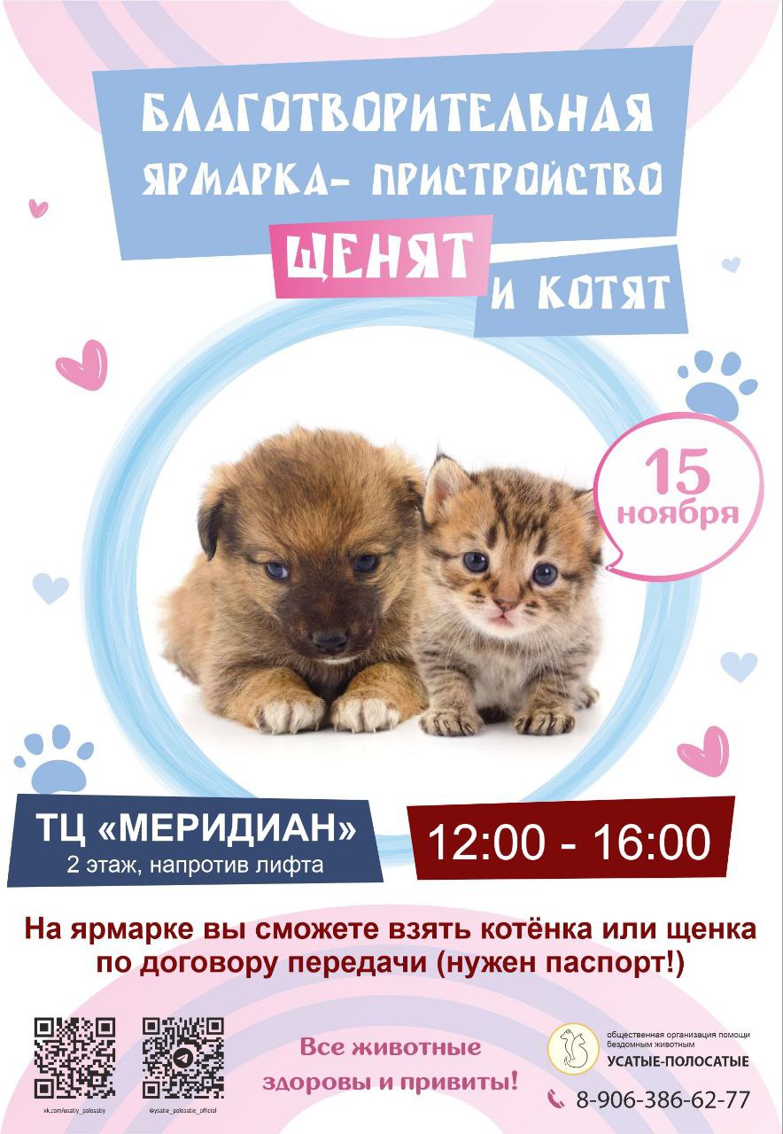 Выставка-пристройство бездомных животных - Животные в Чебоксары