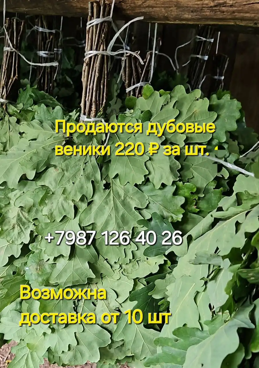 Продажа дубовых веников
