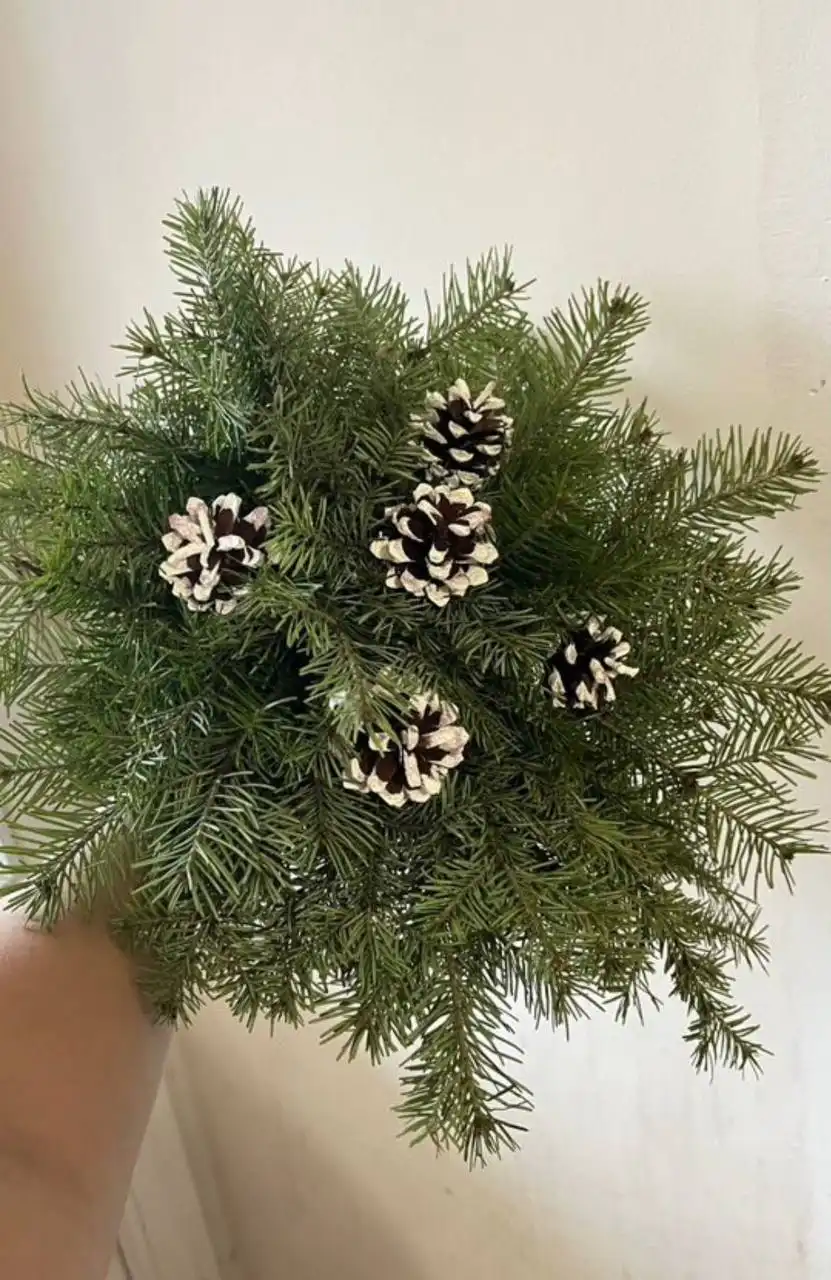 Букет из пихты