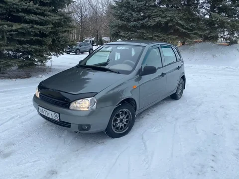 Продам калину 2008г.в. в отличном состоянии - частное объявление в Саракташ