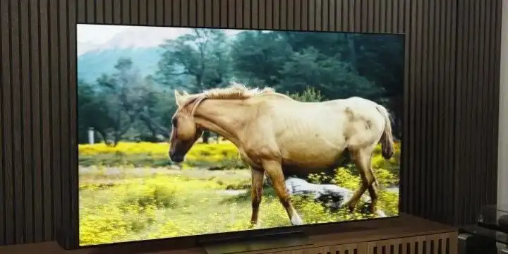 Телевизор LG OLED55C5RLA.ARUG 55"