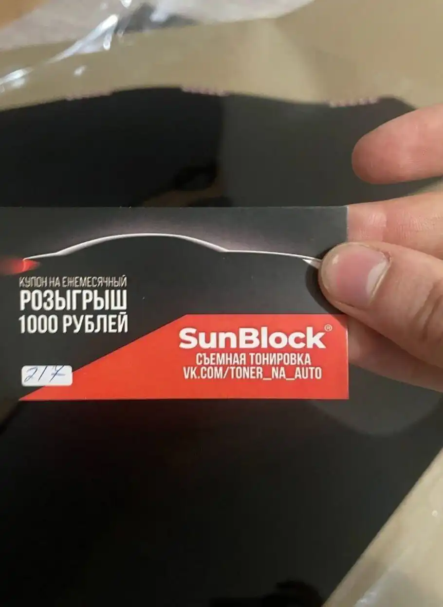 Съемная жесткая тонировка для авто