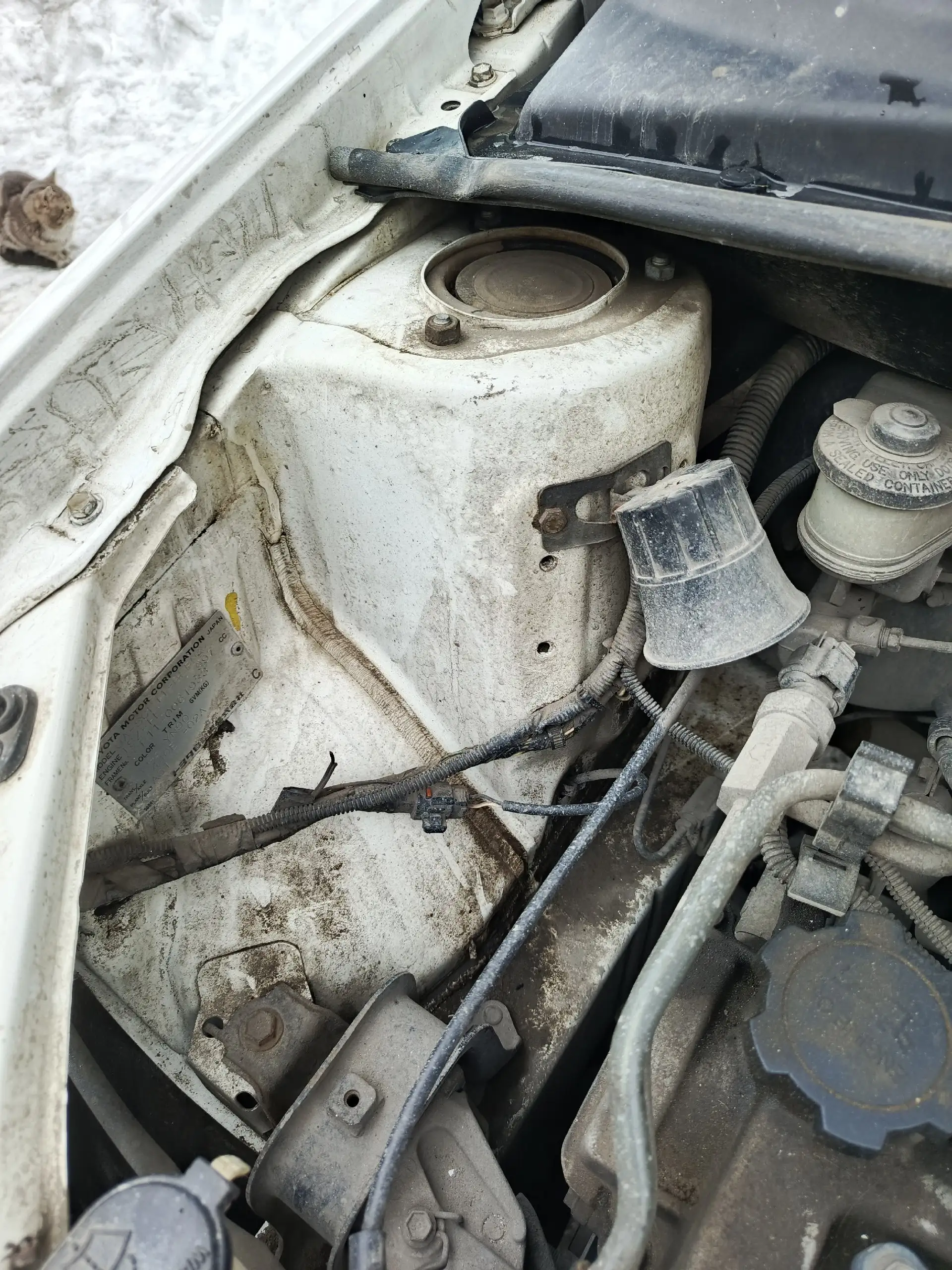 Продам автомобиль Toyota Platz 2002 - Легковые автомобили (Авто) в Омск