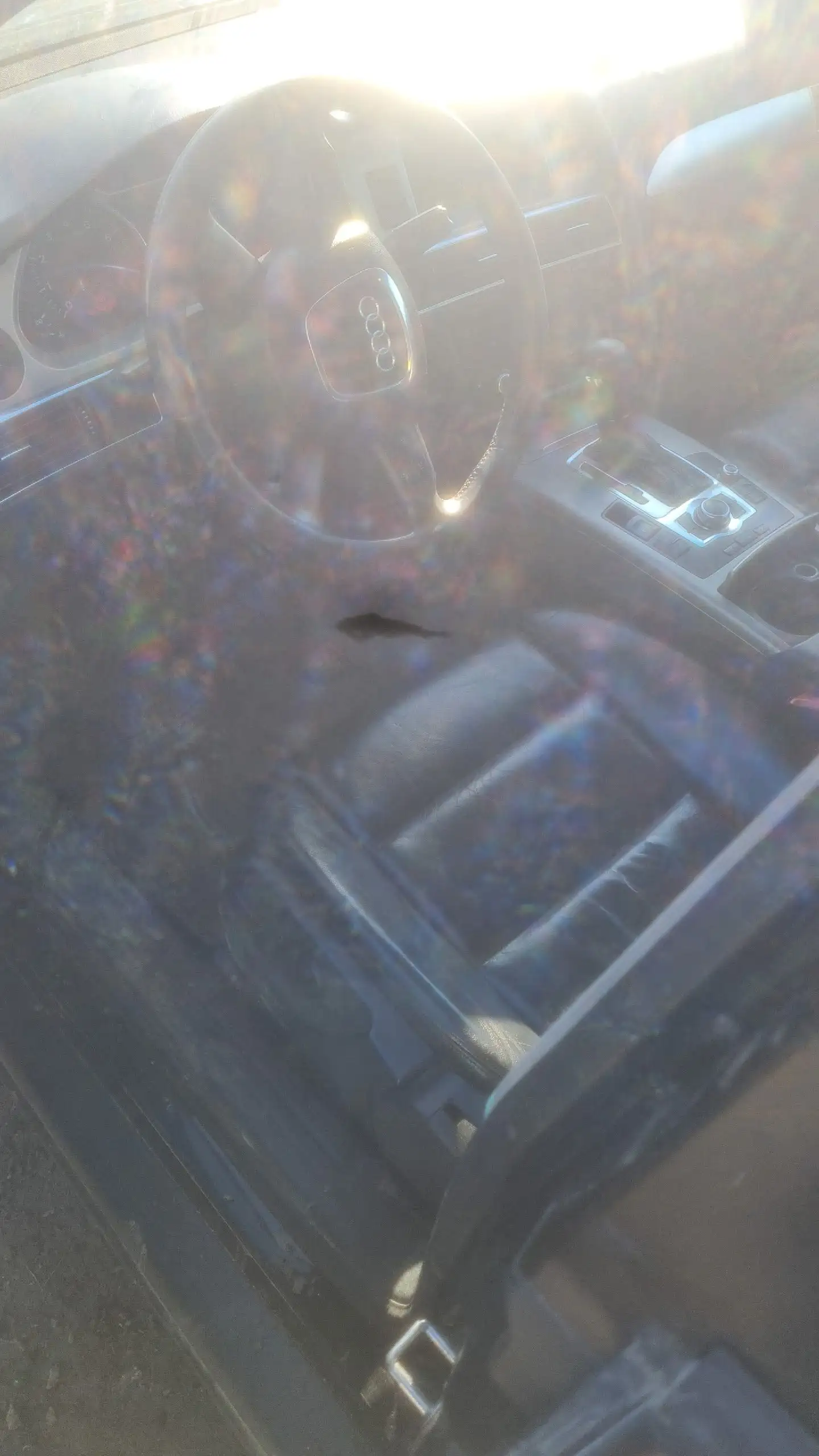 Продажа Audi A6 C6 2008 года - Авто в Омск