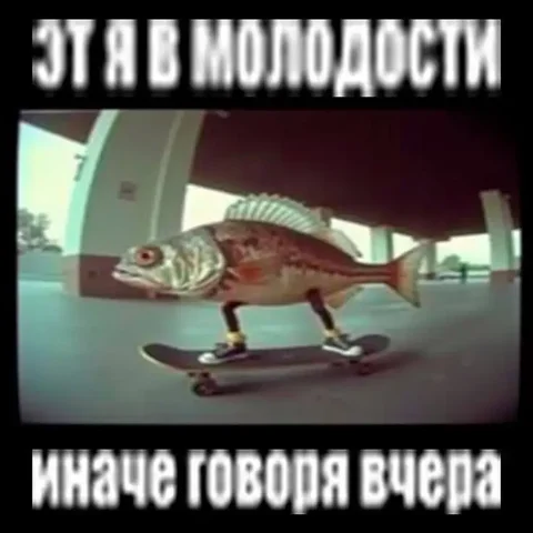 Ищу полную отрыгу на учете - Колёса и шины в Омск