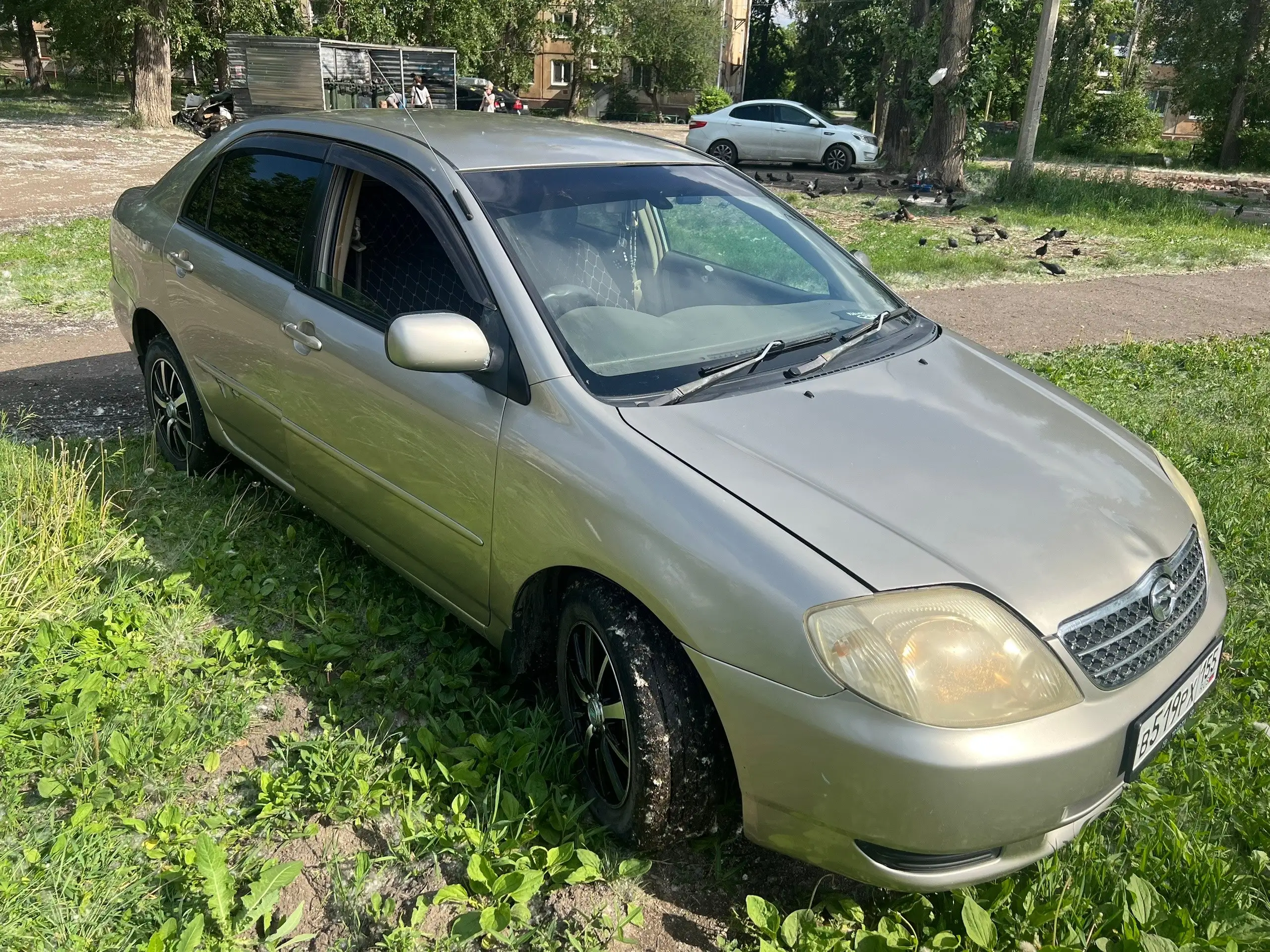 Toyota Corolla 2002 - Легковые автомобили (Авто) в Омск