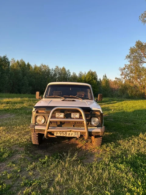 Нива 1983 г.в. - верный друг семьи - Автоэлектроника в Омск