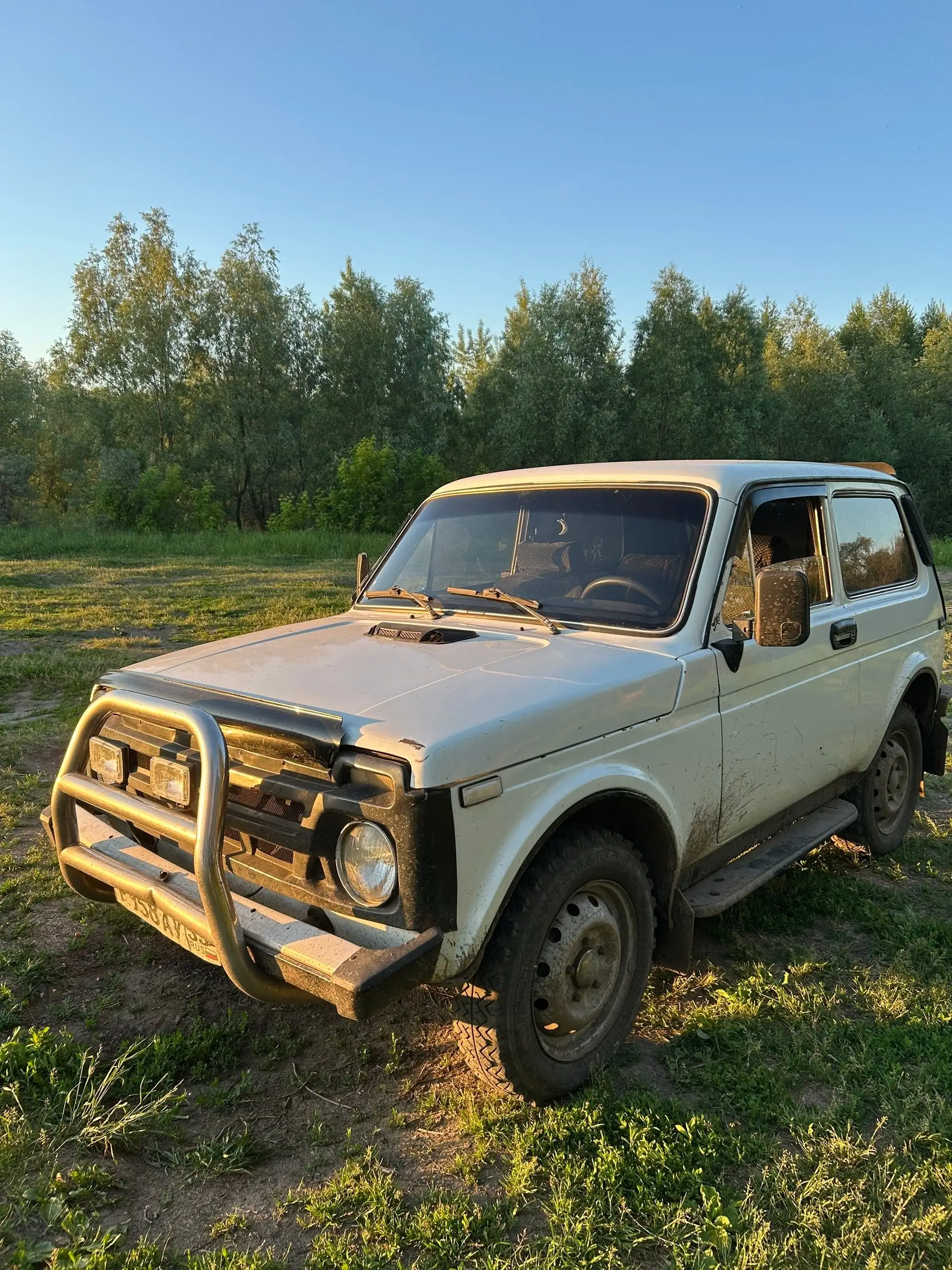 Нива 1983 г.в. - верный друг семьи - Авто в Омск