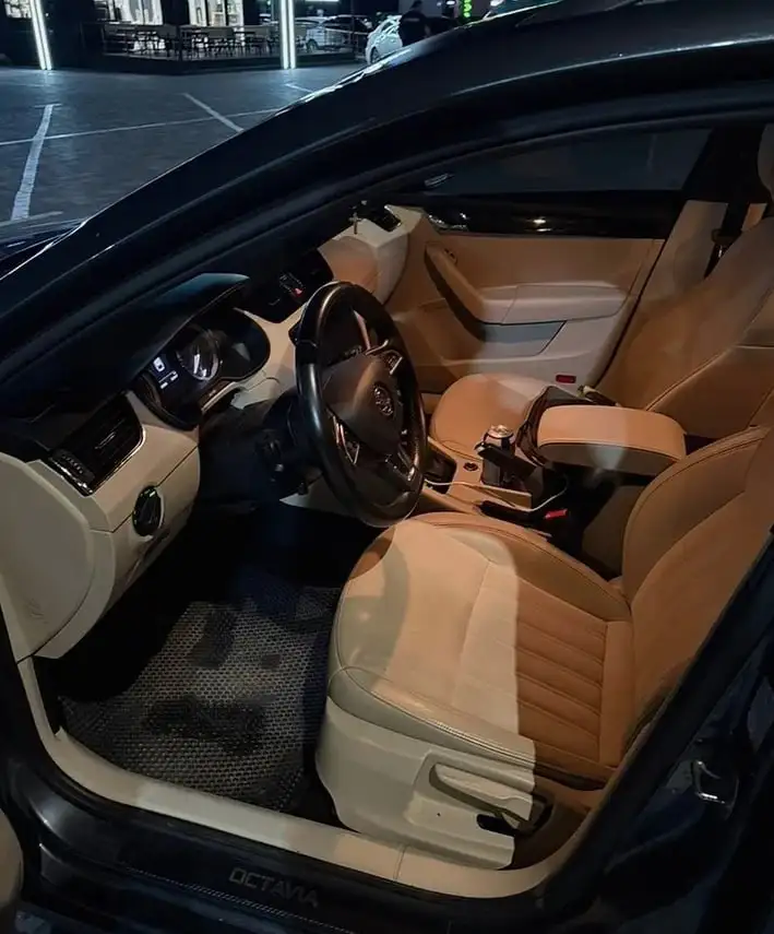 Skoda Octavia 2019 2.0 TDI DSG - Легковые автомобили (Авто) в Омск