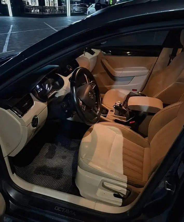 Skoda Octavia 2019 - Легковые автомобили (Авто) в Омск