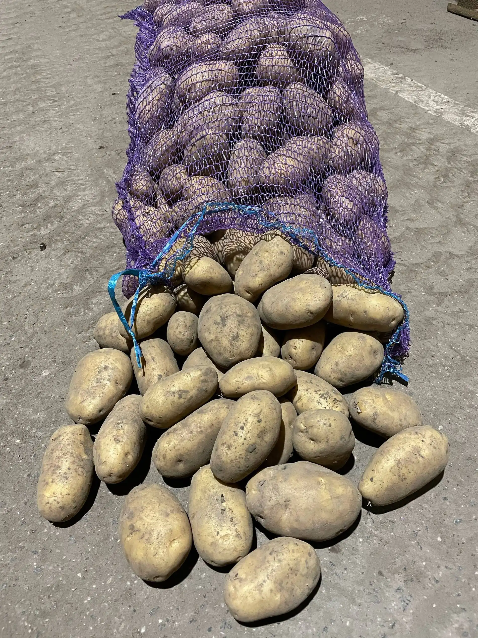 Продажа картофеля Джувел, Коломбо - Продукты питания (Барахолка) в Дзержинск