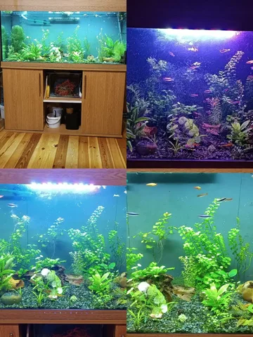 Аквариум с тумбой 500 литров с комплектом - частное объявление в Дзержинск