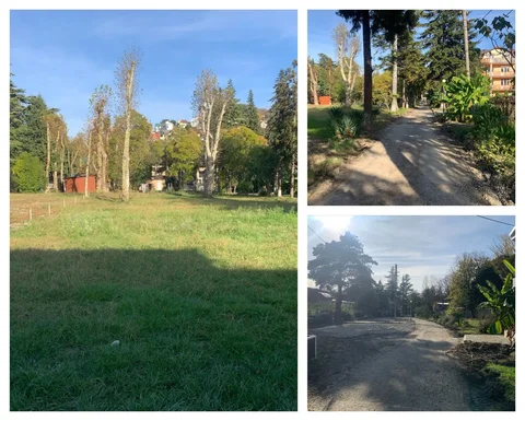 Земельные участки под гостиничную застройку в Сочи - Земля в Сочи