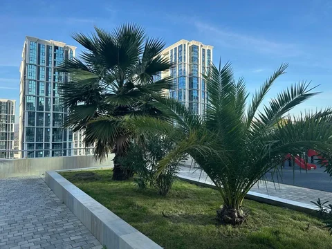 Квартира в ЖК Сочи Парк 18м2 с видом на море - частное объявление в Сочи