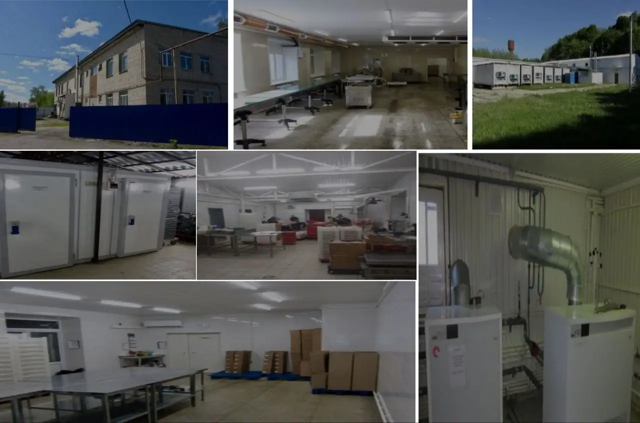 Продажа мясоперерабатывающего предприятия в Тульской области - Коммерческая недвижимость (Недвижимость) в Куркино