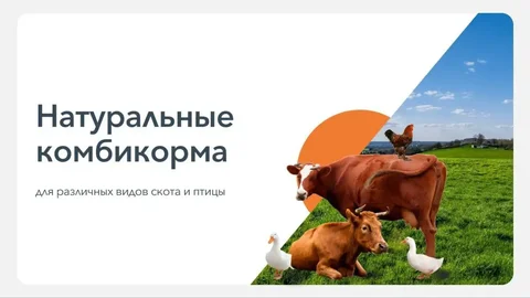 Продажа комбикормового завода - частное объявление в Светлоград