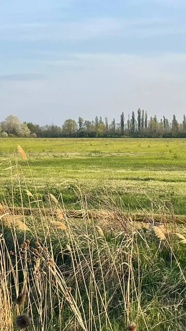 Продажа участка 64 га в Тахтамукае с возможностью перевода под ИЖС