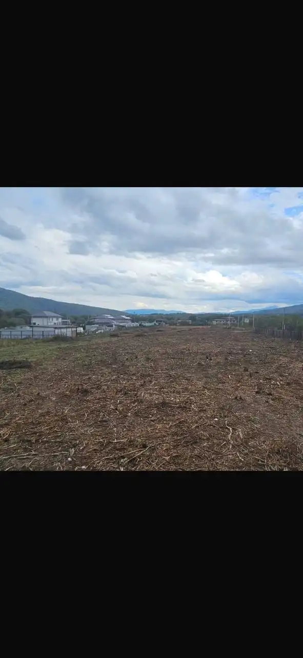 Продажа участка 1.4 га в станице Даховская