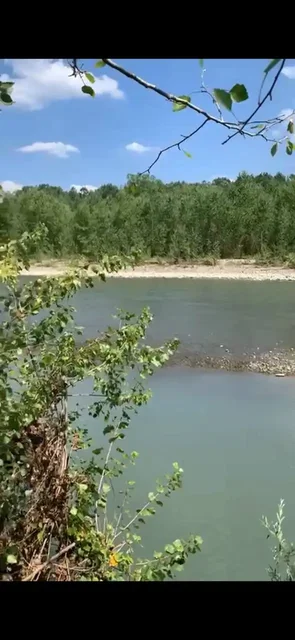 Земельный участок 4,5 гектара на берегу реки Пшеха в Апшеронском районе - Недвижимость в Апшеронск