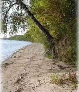 Земельный участок 4,5 гектара на берегу реки Пшеха в Апшеронском районе - Земельные участки (Недвижимость) в Апшеронск