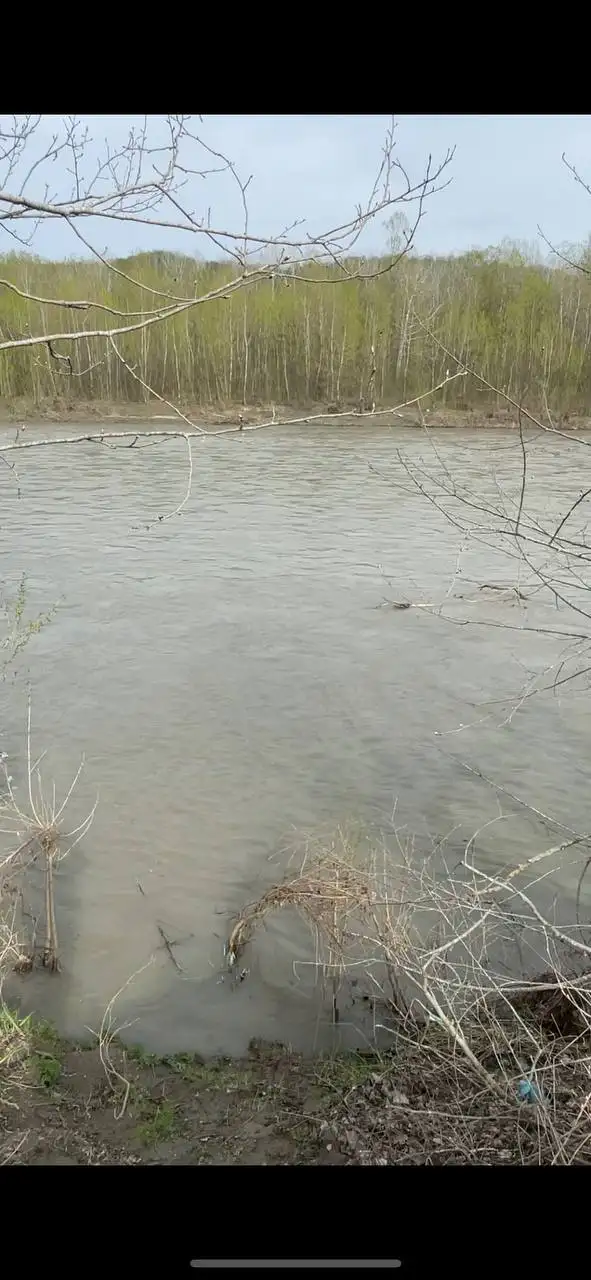 Земельный участок 4,5 гектара на берегу реки Пшеха в Апшеронском районе - Земельные участки (Недвижимость) в Апшеронск