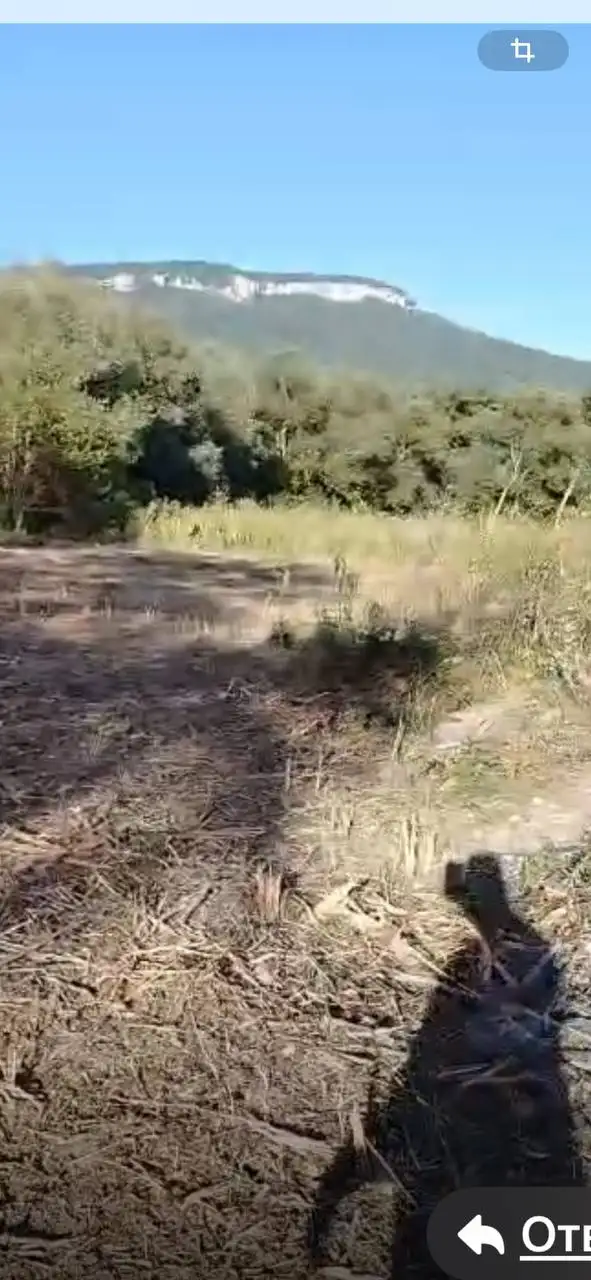 Продажа участка 2,7 га в станице Даховская - Земельные участки (Недвижимость) в Даховская