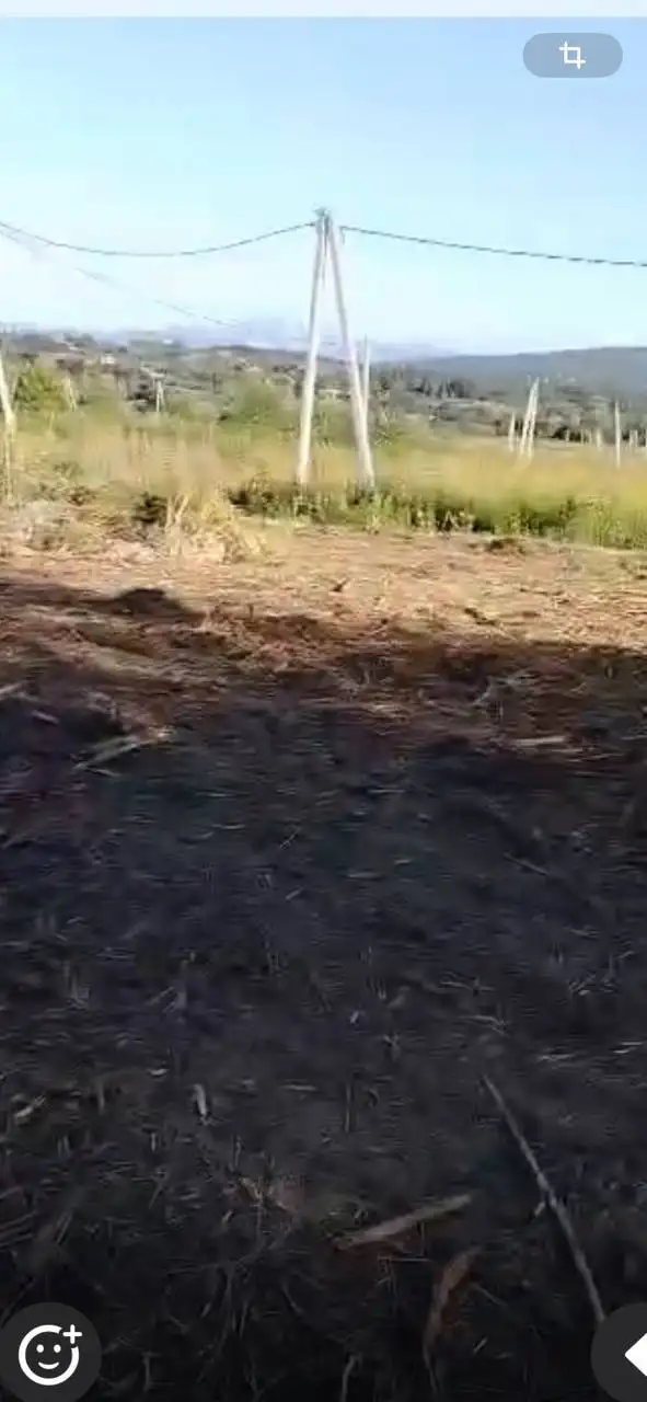 Продажа участка 2,7 га в станице Даховская - Земельные участки (Недвижимость) в Даховская