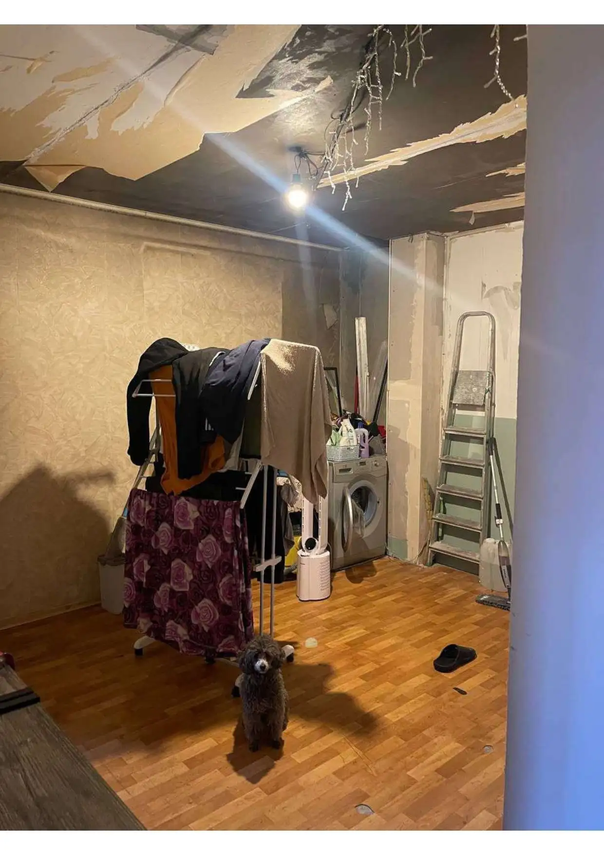 Квартира в Приморском районе - Квартира (Недвижимость) в Санкт-Петербург
