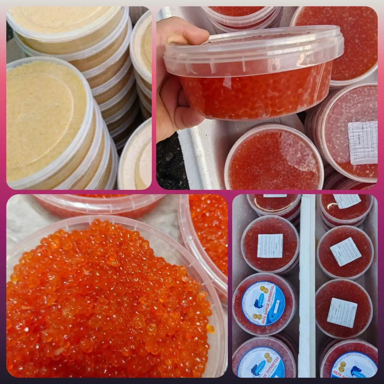 Продажа эксклюзивных морепродуктов и икры