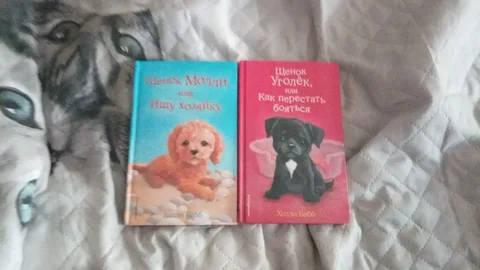 Детские книги - Игровые центры и ходунки в Люберцы