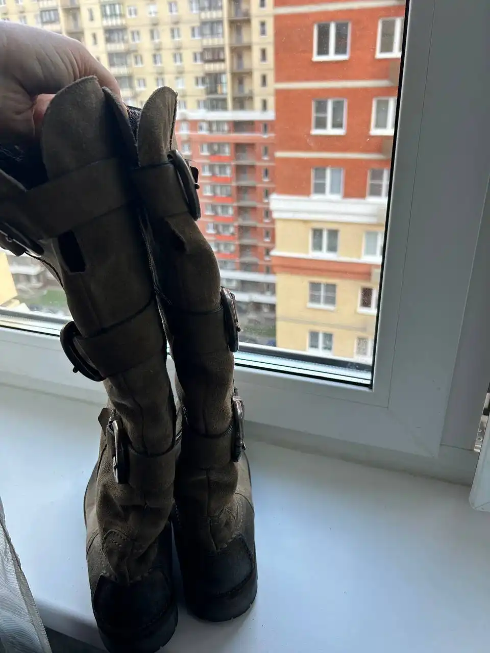 Женские зимние сапоги Salamander - Обувь (Одежда) в Люберцы