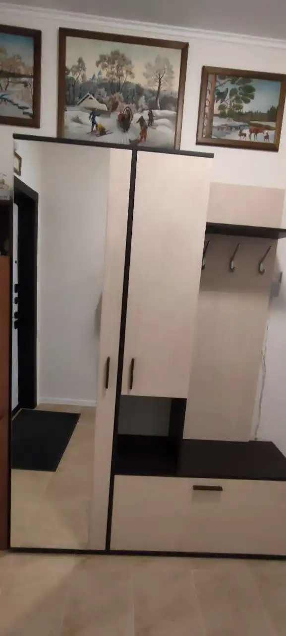 Продажа прихожей Саша с зеркалом и выдвижной вешалкой - Мебель (Для дома и дачи) в Люберцы