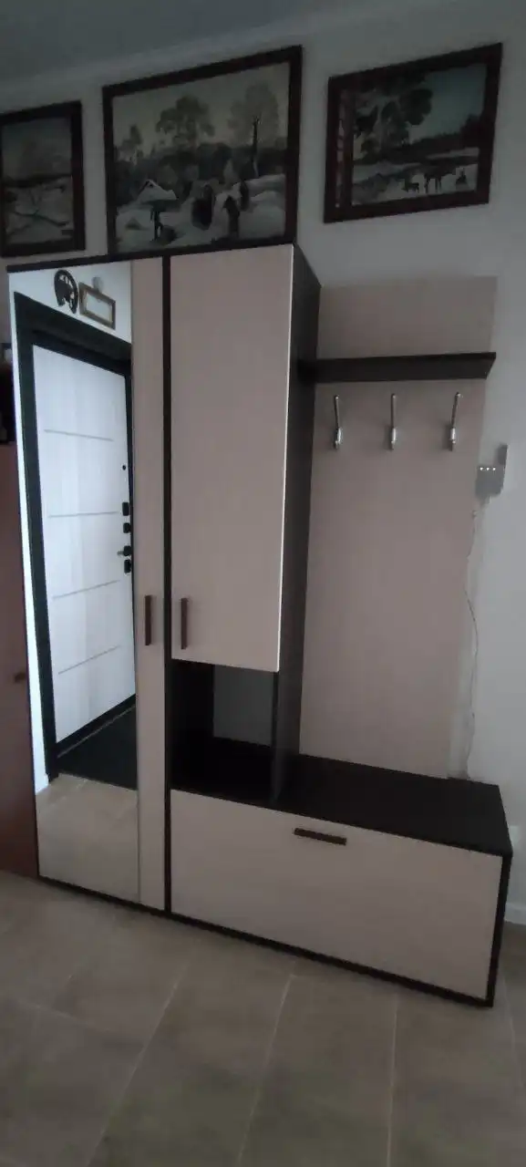 Продажа прихожей Саша с зеркалом и выдвижной вешалкой - Мебель (Для дома и дачи) в Люберцы