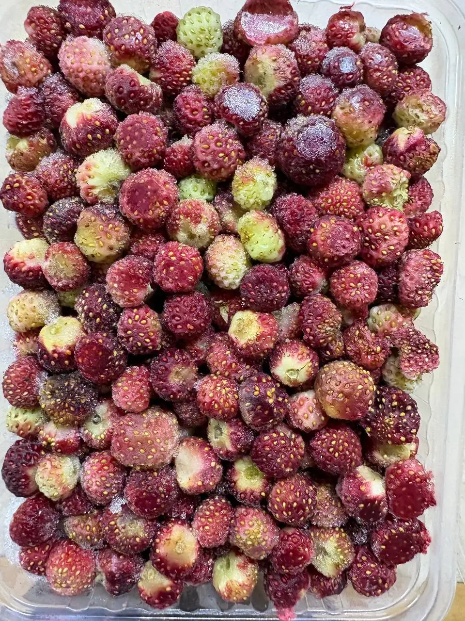 Продажа ягод в Котельниках - Продукты питания (Барахолка) в Котельники