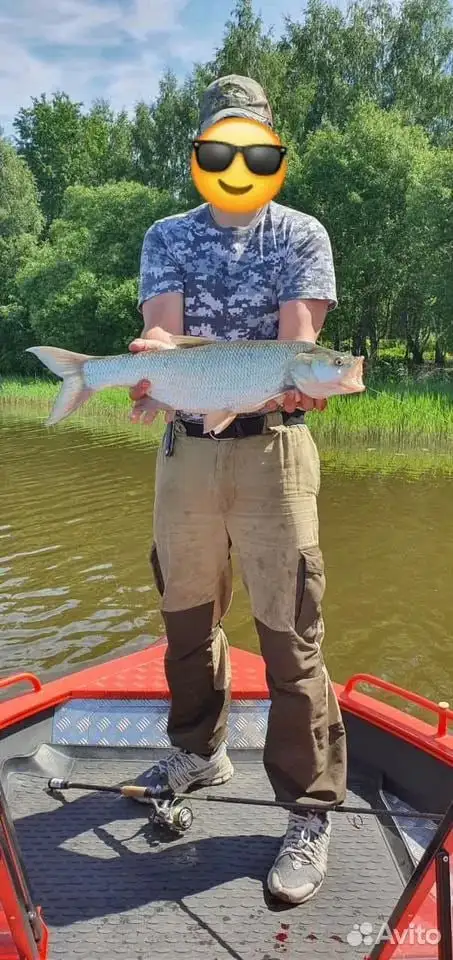 Продажа лодки Триера 460 fish-PRO с мотором Yamaha F70aetl и прицепом - Водный транспорт (Хобби и отдых) в Люберцы