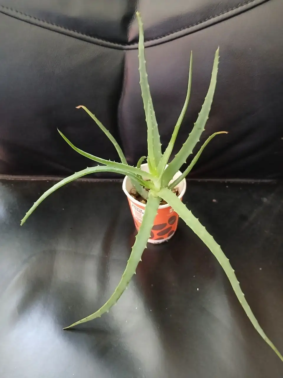 Продажа в Люберцах и Котельниках - Барахолка в Люберцы