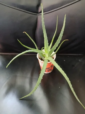 Продажа в Люберцах и Котельниках - Инструменты в Люберцы