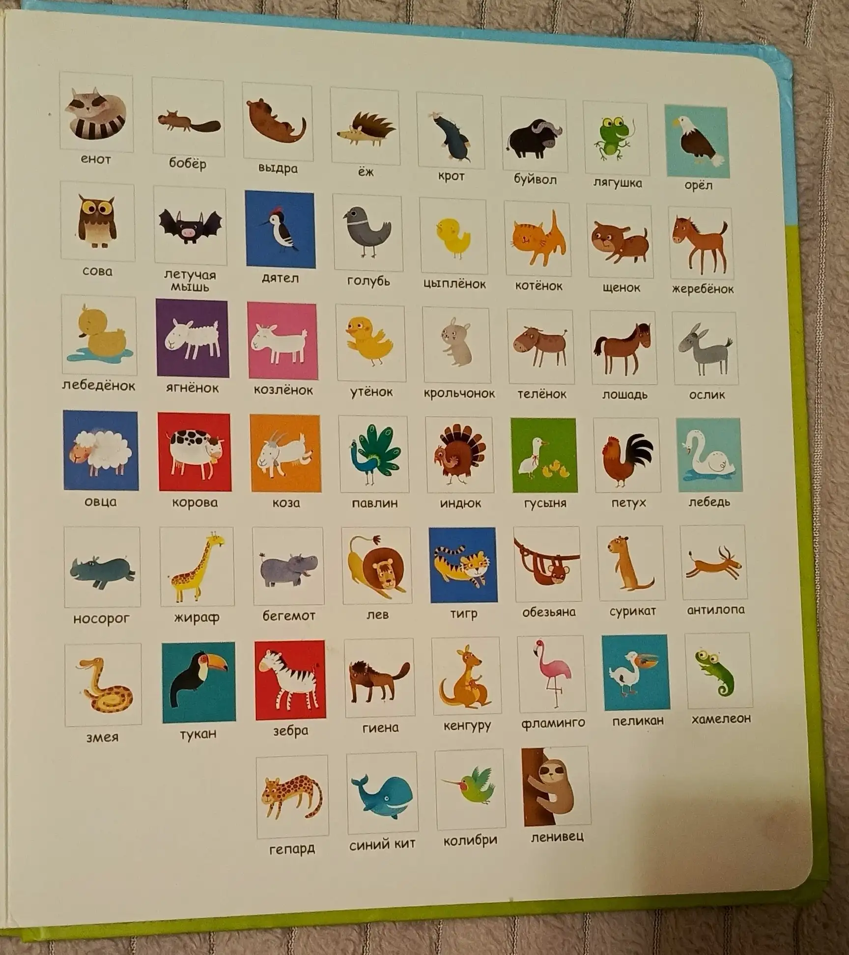 Книга для малышей с открывающимися створками про животных - Книги (Товары для детей) в Люберцы