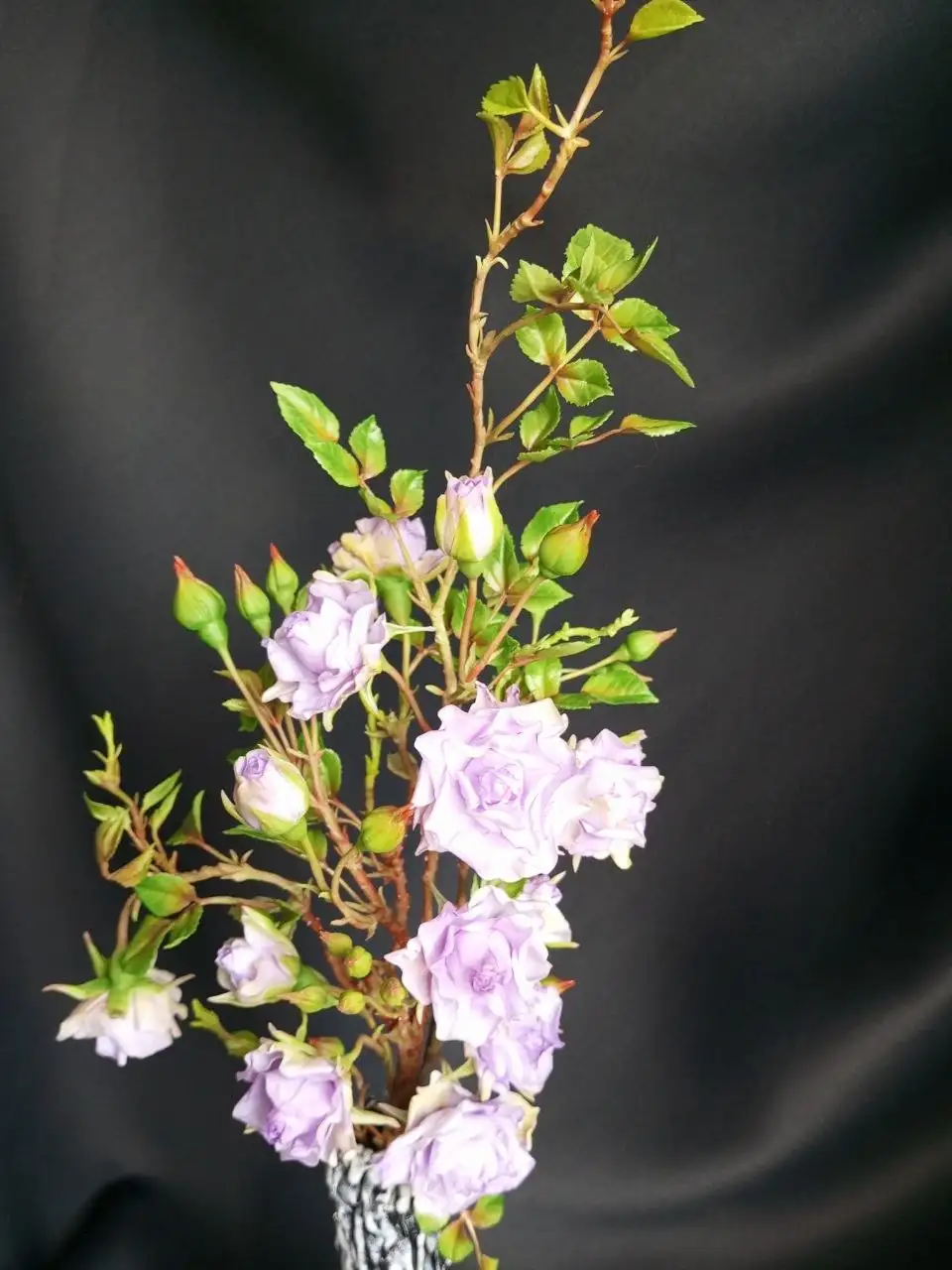 Плетистая роза из холодного фарфора - Декоративные изделия (Для дома и дачи) в Люберцы