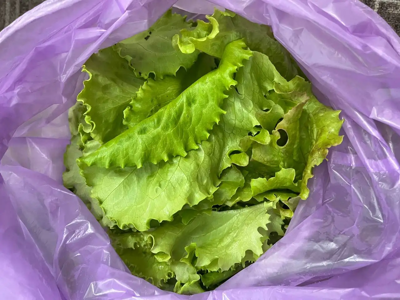 Продажа домашнего салата из дачи - еда (Барахолка) в Люберцы