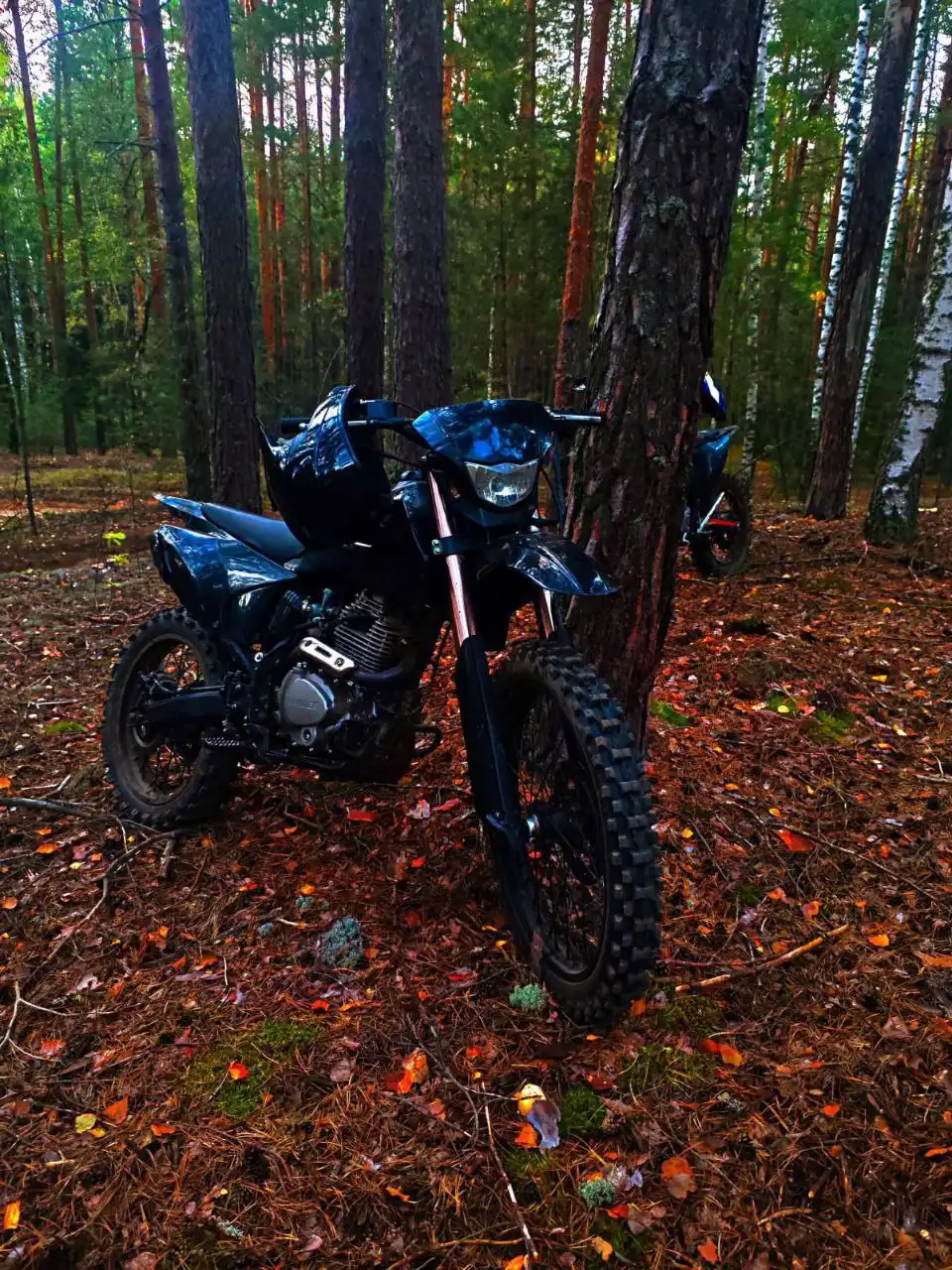 Продажа мотоцикла OXO Lite 250 - Мотоциклы (Авто) в Йошкар-Ола