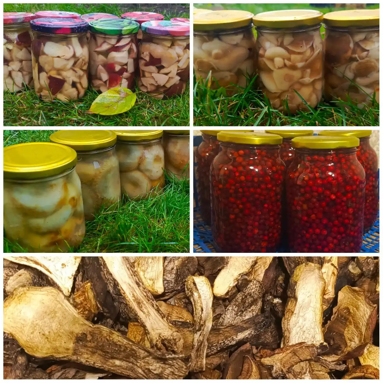 Свежее поступление соленых и маринованных грибов