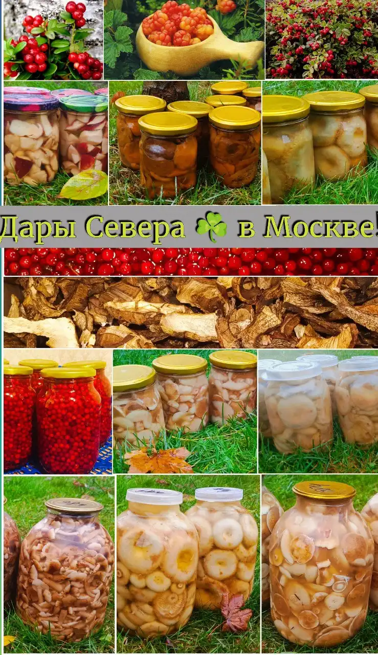 Свежее поступление соленых и маринованных грибов