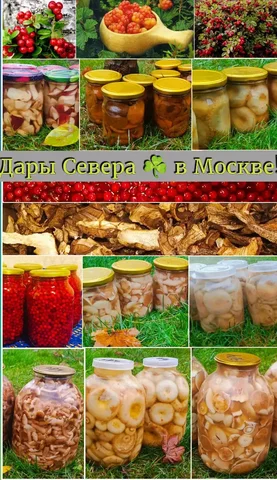 Свежее поступление соленых и маринованных грибов - Хобби и отдых в Москва