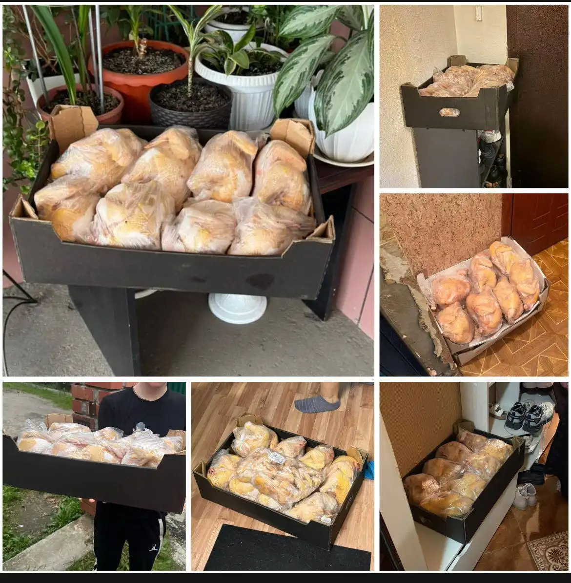 Свежие домашние куры Кабардинские ручной щипки