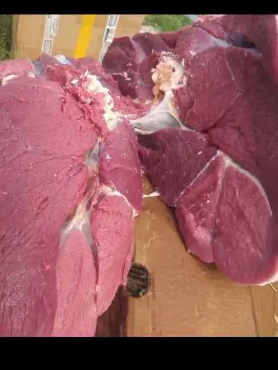 Продажа домашней телятины