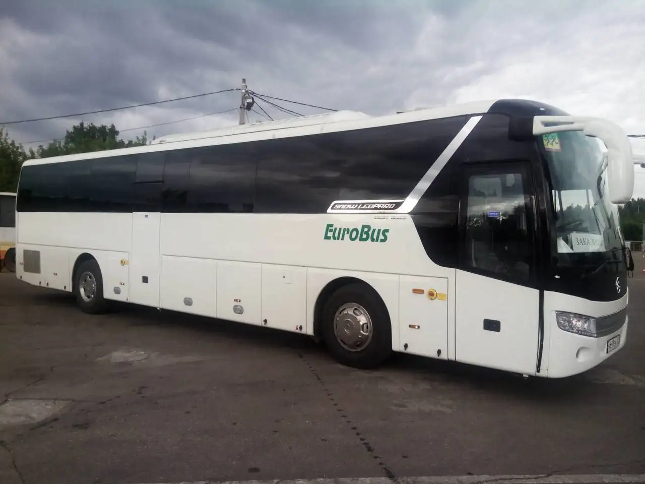 Профессиональные транспортные услуги в Мытищах - Транспортные услуги (Услуги) в Мытищи