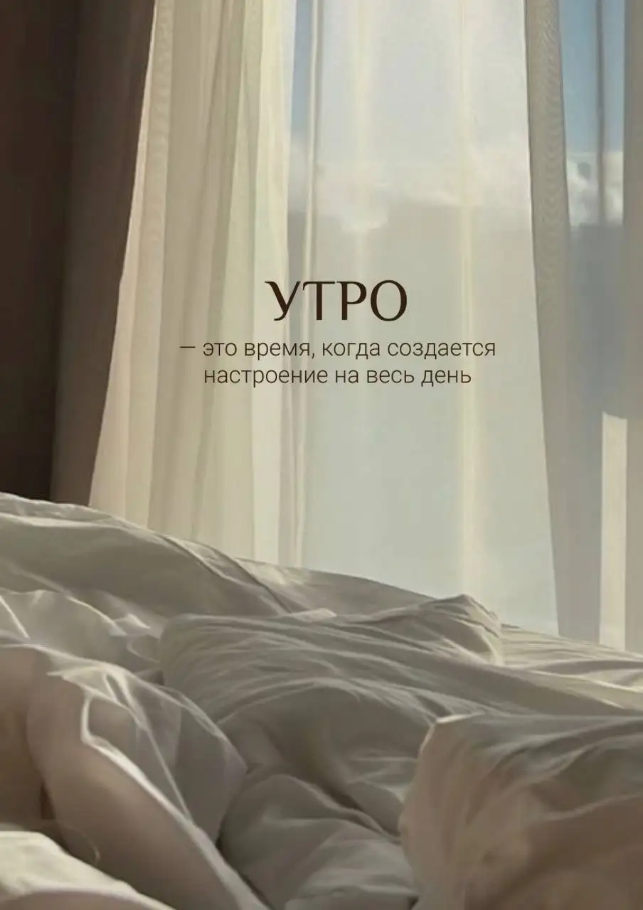 Услуги по чистке от пылевых клещей - Клининговые услуги (Услуги) в Мытищи