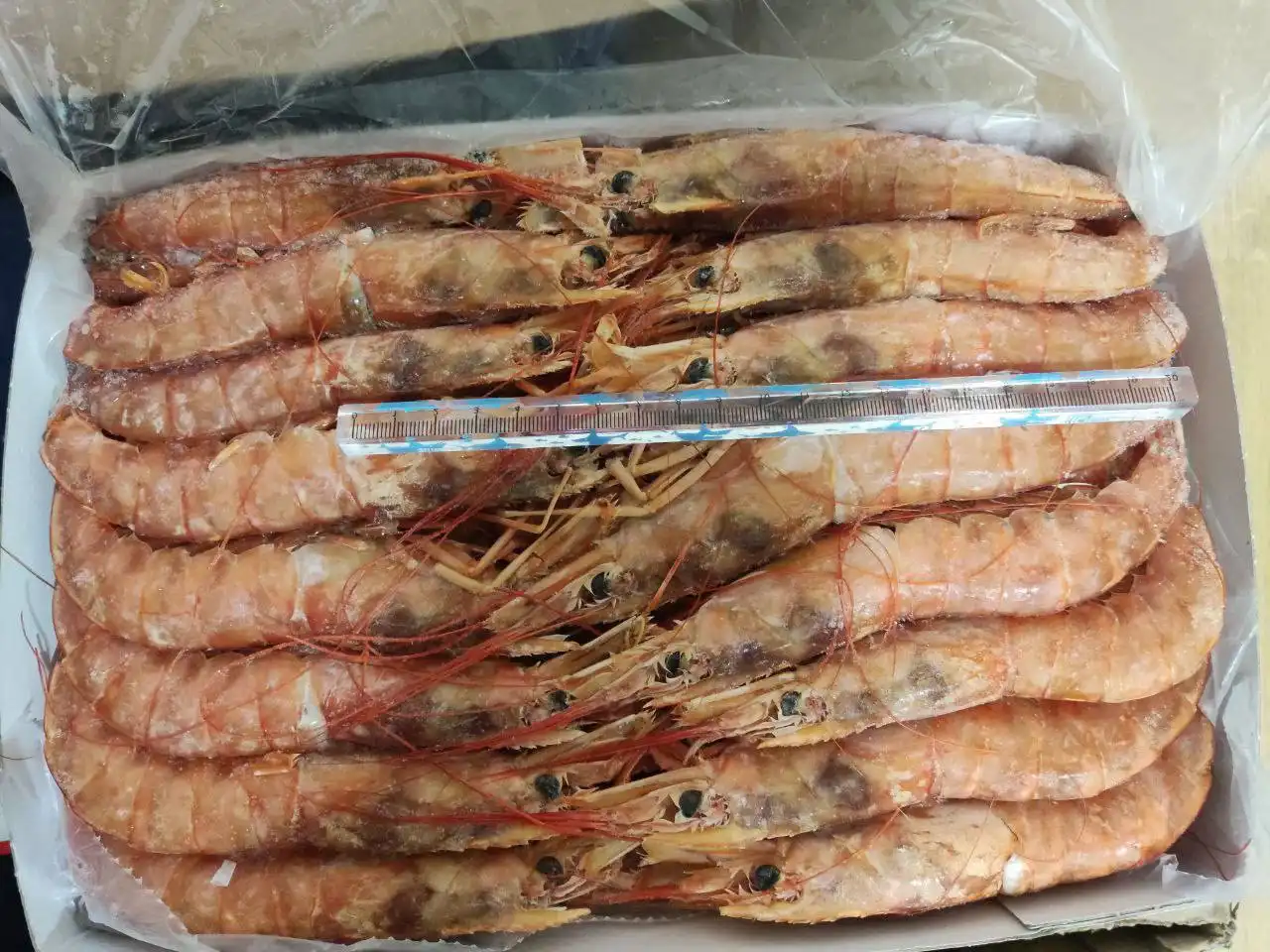 Доставка рыбы и морепродуктов по Тольятти